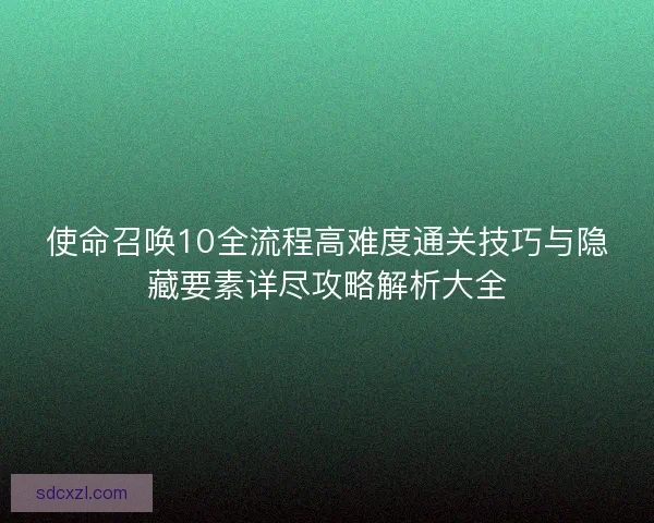 使命召唤10全流程高难度通关技巧与隐藏要素详尽攻略解析大全